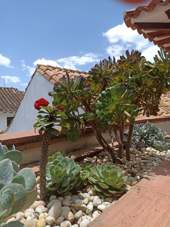 La Casa Del Arbol Hotel Boutique ビージャ・デ・レイバ エクステリア 写真
